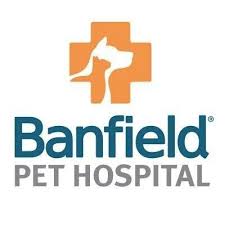 Broadway pet hospital has provided quality veterinary care to the oakland area for over 40 years. Working As A Veterinary Assistant At Banfield Pet Hospital 173 Reviews About Job Security Advancement Indeed Com