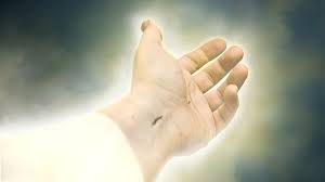 By studying and understanding god's word we are encouraged to continue praying until something happens! Quarantine In The Bible Noah The Quarantine And The True Ark Of Salvation