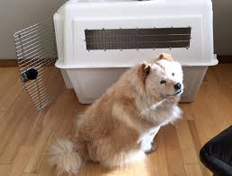 It is very good news that the blue dark movers and packers are very excellent in handling your transits of pet animals very safely. Facts About Pet Transport Safety Petrelocation
