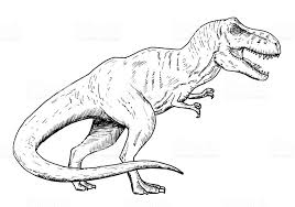 Find & download free graphic resources for tarbosaurus. Pin On Casafomy