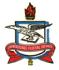 Image result for Englerodendron mengei