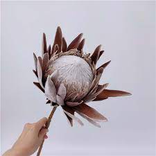 Belk.com has been visited by 100k+ users in the past month Factory Direct Wholesale Christmas Wedding Decoration Artificial Protea Cynaroides Flowers King Protea Buy Artificial Protea Cynaroides King Protea Artificial Tropical Flower Product On Alibaba Com