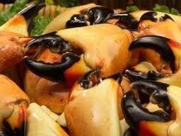The claws of the stone crab will grow back over a period of 18 months, so when they are caught, one claw is removed and the critter is released back now that i have shared with you how to cook crab claws in the oven, by boiling, and by steam, it is time to tell you how to cook king crab legs on grill. Stone Crab Claws Cooking And Cracking And Eating