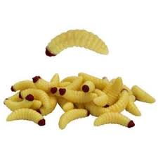 Colored maggots for sale can offer you many choices to save money thanks to 18 active results. Durable Maggot For Fun And Entertainment Alibaba Com