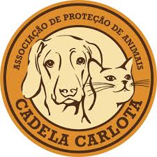 Cadela Carlota Animal Shelter
