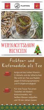Weihnachtsbaum Recyceln So Schenken Sie Ihrem Baum Ein Zweites Leben Plantura Weihnachtsbaum Baum Schenken