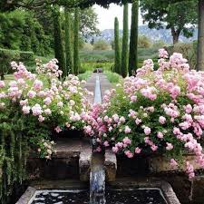 Dans Le Jardin De L Ecrivaine Vicki Archer A Saint Remy De Provence Beaux Jardins Jardins Jardin D Eau