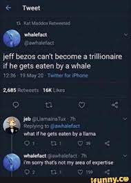Tweet Kat Maddox Retweeted Whalefact Awhalefact Jeff Bezos Can T Become A Trillionaire If He Gets Eaten By A Whale 12 36 Twitter For Iphone 2 685 Retweets 16 Bezos Jeff Bezos Stupid Funny Memes