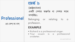 Professional Meaning In Bengali Professional এর ব ল অর থ Grammar Hub
