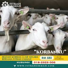Namun, kerenah dan telatah anak lelaki adalah berbeza dari kerenah anak perempuan dari pelbagai sudut. Aqiqah Qurban Luar Negara