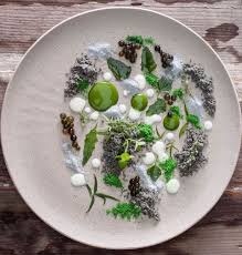 Find new and preloved elite cuisine items at up to 70% off retail prices. Centralrest 2 Elite Traveler Elite Traveler