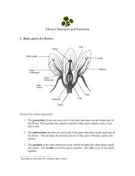Floral diagram is a graphic representation of flower structure. Flower Structure And Anatomy