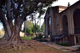 We excel in customer service and personal attention. Origin Of Library S Magnificent Moreton Bay Fig Tree Revealed The South Pasadenan South Pasadena News