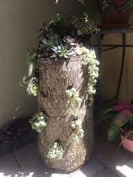 Pin On Gardening
