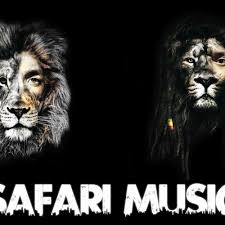 Se trata de un tipo de canción graciosa que apareció a fines del siglo xviii, muy popular y que describía tipos y costumbres. Safari Music Te Deseo Original Mix Aleteo Guaracha Zapateo Spinnin Records