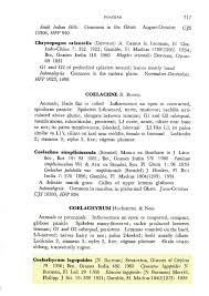 Image result for Coelachyrum