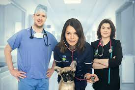 Based in langley, serving the entire vancouver lower mainland. Ucd School Vet Medicine On Twitter Have You Ever Wondered What A Typical Day Is Like In The Ucd Veterinary Hospital Well Wonder No More Animal Emergency Is A New 5