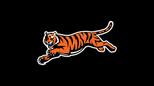 Enjoy and set as wallpaper for your desktop computer, iphone, android or other mobile devices. Cincinnati Bengals Backgrounds Hd 2021 Nfl Football Wallpapers