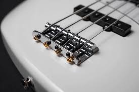 Here are the list of bass guitar brands including reliable models. Types Of Bass Guitars Top 11 Best Affordable Brands In 2020