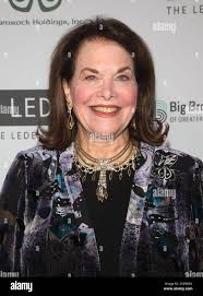 The big night out gala hi-res stock photography and images