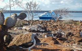 You're lost and thirsty in a desert. Natural Paradise Galapagos Cruise Review Adventuresmith Explorations