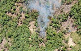 The term marikina watershed is sometimes used to specifically refer to this protected area. Alarm Raised Over Illegal Resort Activities In Rizal Watershed Inquirer News