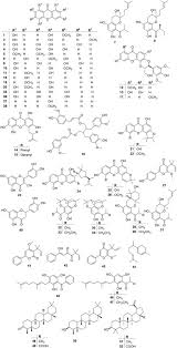 Image result for Hypericum roeperianum