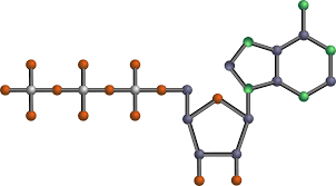 Featuring tennis live scores, results, stats, rankings, atp player and tournament information, news, video highlights & more from men's professional tennis . Model Of Atp Molecule Perkins Elearning