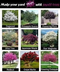 Pin On Gardening Tips
