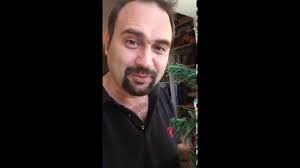 Iumor 227.297 views1 year ago. Adrian VÄƒncicÄƒ Glume De CrÄƒciun 2014 Youtube