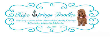 If you are interested in one of our goldendoodle puppies or poodle puppies for sale, please complete an adoption form. Welcome To Hope Springs Doodles
