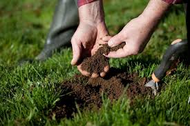 For vegetable plots or to add nutrients to a large area, you can mix topsoil, garden soil and compost. How To Make Topsoil In 6 Simple Steps A Green Hand