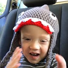 Baby Shark Hat, Costume Hat, Beanie Shark Hat, Toddler Hat, Made to Order  Hats & Caps, Photo Props