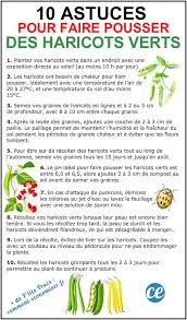 100 Astuces Potager Pour Faire Pousser Vos Legumes Facilement Maraicher Potager Conseils De Jardinage