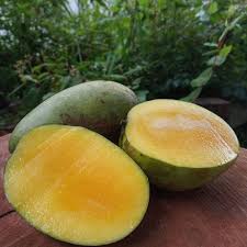 Beli sambal mangga online berkualitas dengan harga murah terbaru 2021 di tokopedia! Buy Buah Mangga Kuini Buah Mache Buah Krini Pelbagai Jenis Buah Mangga Mangga Lemak Seetracker Malaysia
