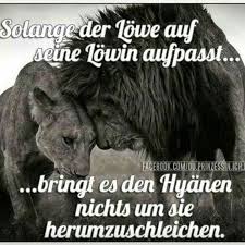 Solange Der Lowe Auf Seine Lowin Aufpasst Spruche Bilder Zitate Bilder Und Alles Was Zum Nachdenken Und Lachen Anregt Spru Witzige Spruche Zitate Spruche
