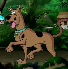 Something like this may be seen in: What Kind Of Dog Is Scooby Doo Know All About Great Dane