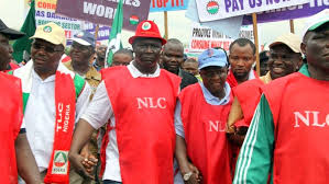 I am directed by the national secretariat of our great union through the zonal office kano, for members to join the warning strike. Minimum Wage Nlc Embarks On Fresh Strike