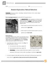 Morning News Natural Selection Moth Gizmo Answer Key Student Exploration Sheet Growing Plants The Initial Population Of 40 Moths Is Scattered Over 20 Tree Trunks