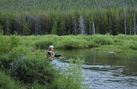 Fly Fishing Flies Fly Size Vs Line Weight