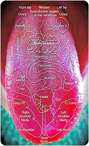 Diagnostic Tongue Maps Elemental Changes Oriental Medical