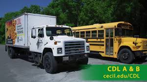 Pdf drive investigated dozens of problems and listed the biggest global issues facing the world today. Commercial Driver S Licenses Cecil College