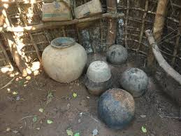 Image result for Vitellariopsis kirkii