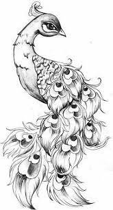 Pin By Tracie Welsh On Wally S Peacock Drawing Peacock Tattoo Bird Sketch