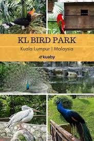 Other attractions of the lake gardens include the butterfly park kuala lumpur, the orchid and hibiscus gardens, the national monument and an artificial lake. Wayne Liew Essays On The Pursuit Of Life Mastery Malaysia Travel Traveling By Yourself Asia Travel