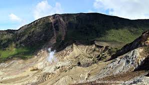 Image result for GUNUNG PAPANDAYAN