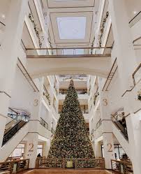 Addison aurora brookfield burr ridge carol stream downers grove elburn elmhurst evergreen park geneva la grange lagrange park lisle lombard montgomery naperville northbrook oak brook oak forest oak lawn oak park orland park plainfield river forest roselle south. Chicago Holiday Bucket List Jess Zimlich