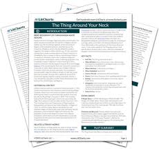 Eu sou uma contadora de histórias e gostaria de contar a vocês algumas histórias pessoais sobre o que eu gosto de chamar o perigo de uma história única. The Thing Around Your Neck Study Guide Literature Guide Litcharts