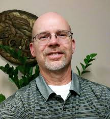 How to relocate bees from a tree in Lake Highlands, Dallas, Texas?