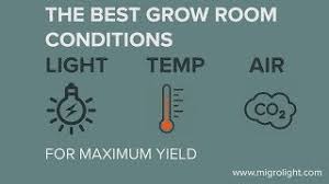 The more watts, the more heat generated. Best Grow Room Conditions For Maximum Yield Light Par Temperature And Air Co2 Youtube